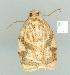  ( - gvc6504-1L)  @12 [ ] Copyright (2004) Unspecified Unspecified