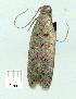  ( - gvc6540-1L)  @12 [ ] Copyright (2004) Unspecified Unspecified