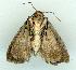  ( - gvc6546-1L)  @13 [ ] Copyright (2004) Unspecified Unspecified