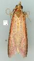  ( - gvc6570-1L)  @12 [ ] Copyright (2004) Unspecified Unspecified