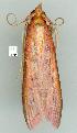  ( - gvc6571-1L)  @12 [ ] Copyright (2004) Unspecified Unspecified