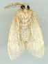  ( - gvc6573-1L)  @12 [ ] Copyright (2004) Unspecified Unspecified