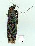  ( - gvc6608-1L)  @12 [ ] Copyright (2004) Unspecified Unspecified