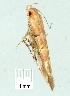 ( - gvc6614-1L)  @12 [ ] Copyright (2004) Unspecified Unspecified
