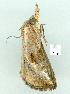  ( - gvc6643-1L)  @12 [ ] Copyright (2004) Unspecified Unspecified
