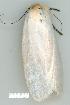  ( - gvc6667-1L)  @12 [ ] Copyright (2004) Unspecified Unspecified