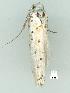  ( - gvc6702-1L)  @12 [ ] Copyright (2004) Unspecified Unspecified