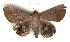  ( - gvc2577-1L)  @14 [ ] Copyright (2004) Unspecified Unspecified
