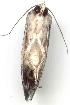  ( - gvc2672-1L)  @12 [ ] Copyright (2004) Unspecified Unspecified