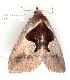  ( - gvc3354-1L)  @12 [ ] Copyright (2004) Unspecified Unspecified