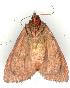  ( - gvc3354-1L)  @12 [ ] Copyright (2004) Unspecified Unspecified