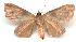  ( - gvc3354-1L)  @12 [ ] Copyright (2004) Unspecified Unspecified