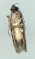  ( - gvc3483-1L)  @13 [ ] Copyright (2004) Unspecified Unspecified