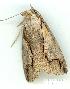  ( - gvc3795-1L)  @13 [ ] Copyright (2004) Unspecified Unspecified