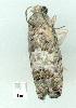  ( - gvc4820-1L)  @12 [ ] Copyright (2004) Unspecified Unspecified
