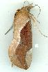  ( - gvc5689-1L)  @12 [ ] Copyright (2004) Unspecified Unspecified