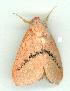  ( - gvc6789-1L)  @12 [ ] Copyright (2004) Unspecified Unspecified
