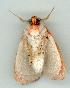  ( - gvc6789-1L)  @12 [ ] Copyright (2004) Unspecified Unspecified