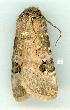  ( - gvc6795-1L)  @12 [ ] Copyright (2004) Unspecified Unspecified