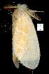 ( - gvc6828-1L)  @12 [ ] Copyright (2004) Unspecified Unspecified