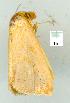  ( - gvc6830-1L)  @12 [ ] Copyright (2004) Unspecified Unspecified