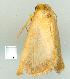  ( - gvc6831-1L)  @12 [ ] Copyright (2004) Unspecified Unspecified
