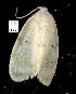 ( - gvc6858-1L)  @12 [ ] Copyright (2004) Unspecified Unspecified