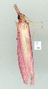  ( - gvc6881-1L)  @12 [ ] Copyright (2004) Unspecified Unspecified
