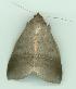  ( - gvc6927-1L)  @13 [ ] Copyright (2004) Unspecified Unspecified