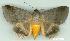  ( - gvc6927-1L)  @13 [ ] Copyright (2004) Unspecified Unspecified