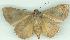  ( - gvc6927-1L)  @14 [ ] Copyright (2004) Unspecified Unspecified