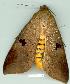  ( - gvc6935-1L)  @13 [ ] Copyright (2004) Unspecified Unspecified