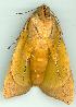  ( - gvc6935-1L)  @13 [ ] Copyright (2004) Unspecified Unspecified