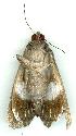  ( - gvc6937-1L)  @13 [ ] Copyright (2004) Unspecified Unspecified
