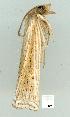  ( - gvc7000-1L)  @12 [ ] Copyright (2004) Unspecified Unspecified