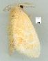  ( - gvc7010-1L)  @12 [ ] Copyright (2004) Unspecified Unspecified