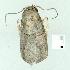  ( - gvc7023-1L)  @13 [ ] Copyright (2004) Unspecified Unspecified