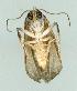  ( - gvc7023-1L)  @13 [ ] Copyright (2004) Unspecified Unspecified
