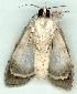  ( - gvc7024-1L)  @13 [ ] Copyright (2004) Unspecified Unspecified