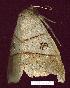  ( - gvc7025-1L)  @13 [ ] Copyright (2004) Unspecified Unspecified