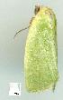  ( - gvc7061-1L)  @12 [ ] Copyright (2004) Unspecified Unspecified