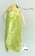  ( - gvc7062-1L)  @12 [ ] Copyright (2004) Unspecified Unspecified