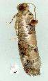  ( - gvc7066-1L)  @12 [ ] Copyright (2004) Unspecified Unspecified