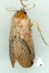  ( - gvc7148-1L)  @13 [ ] Copyright (2004) Unspecified Unspecified
