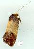  ( - gvc7167-1L)  @13 [ ] Copyright (2004) Unspecified Unspecified