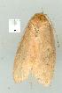  ( - gvc7205-1L)  @13 [ ] Copyright (2004) Unspecified Unspecified