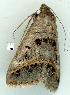  ( - gvc7208-1L)  @12 [ ] Copyright (2004) Unspecified Unspecified
