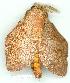  ( - gvc7210-1L)  @14 [ ] Copyright (2004) Unspecified Unspecified