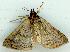  ( - gvc7250-1L)  @13 [ ] Copyright (2004) Unspecified Unspecified