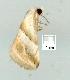  ( - gvc7259-1L)  @13 [ ] Copyright (2004) Unspecified Unspecified
